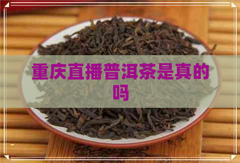 重庆直播普洱茶是真的吗