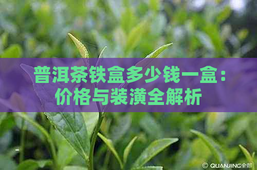 普洱茶铁盒多少钱一盒：价格与装潢全解析