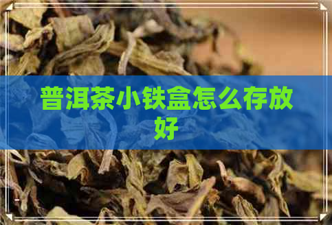 普洱茶小铁盒怎么存放好