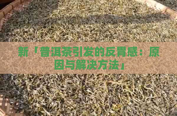 新「普洱茶引发的反胃感：原因与解决方法」