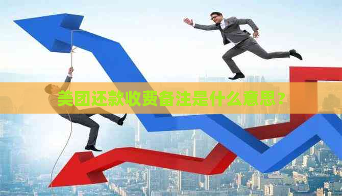 美团还款收费备注是什么意思？