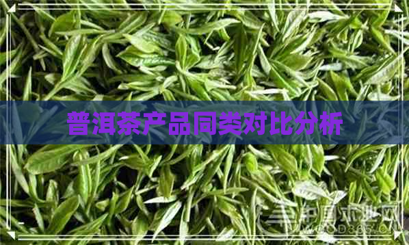 普洱茶产品同类对比分析