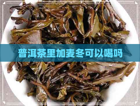 普洱茶里加麦冬可以喝吗