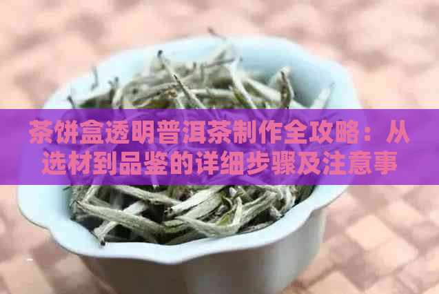 茶饼盒透明普洱茶制作全攻略：从选材到品鉴的详细步骤及注意事项