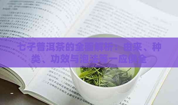 七子普洱茶的全面解析：由来、种类、功效与泡法等一应俱全