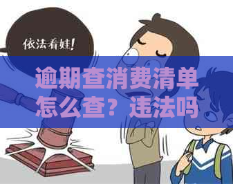 逾期查消费清单怎么查？违法吗？有用吗？