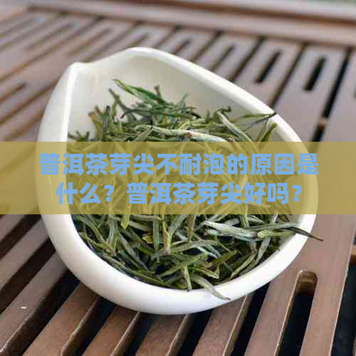 普洱茶芽尖不耐泡的原因是什么？普洱茶芽尖好吗？