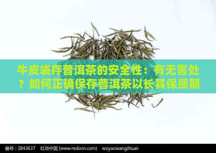 牛皮袋存普洱茶的安全性：有无害处？如何正确保存普洱茶以长其保质期？