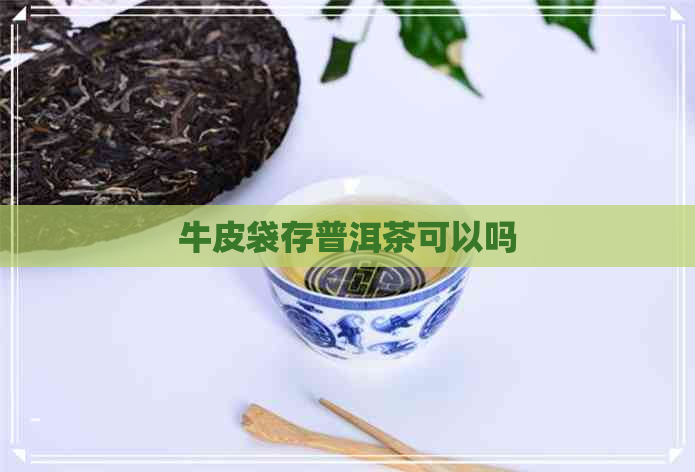 牛皮袋存普洱茶可以吗