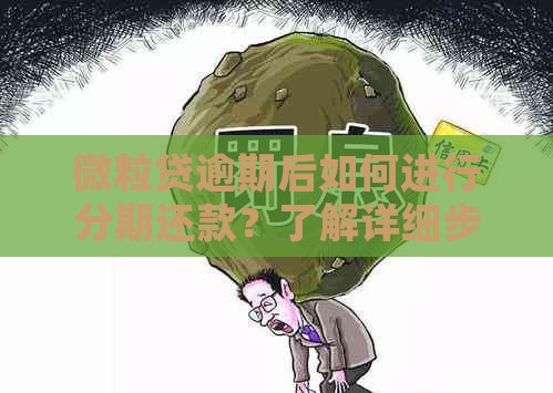 微粒贷逾期后如何进行分期还款？了解详细步骤和注意事项！