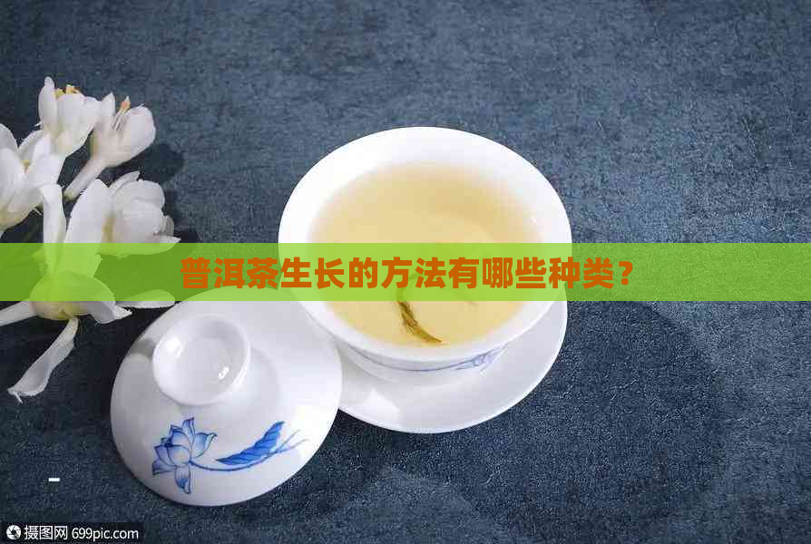 普洱茶生长的方法有哪些种类？