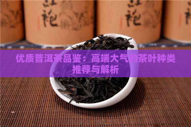 优质普洱茶品鉴：高端大气的茶叶种类推荐与解析