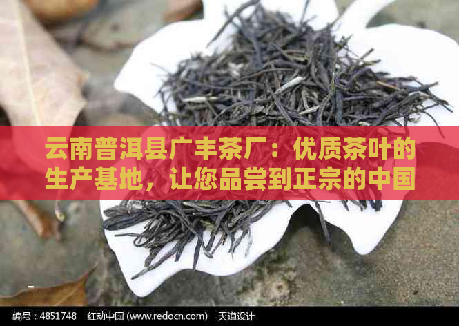 云南普洱县广丰茶厂：优质茶叶的生产基地，让您品尝到正宗的中国茶文化