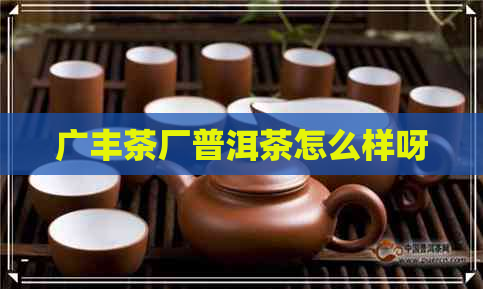 广丰茶厂普洱茶怎么样呀