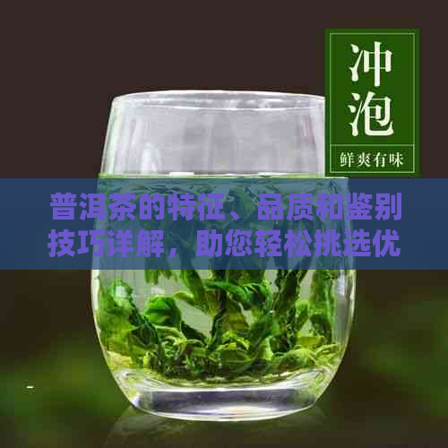 普洱茶的特征、品质和鉴别技巧详解，助您轻松挑选优质普洱茶