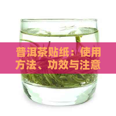 普洱茶贴纸：使用方法、功效与注意事项，一文解答您的所有疑问