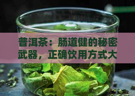 普洱茶：肠道健的秘密武器，正确饮用方式大揭秘