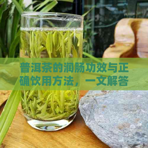 普洱茶的润肠功效与正确饮用方法，一文解答您的疑问