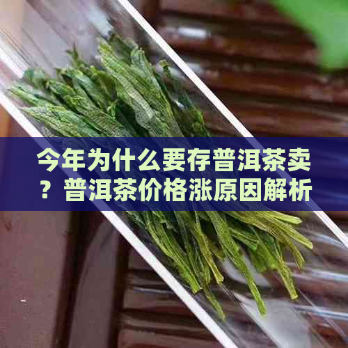 今年为什么要存普洱茶卖？普洱茶价格涨原因解析及收藏意义探讨