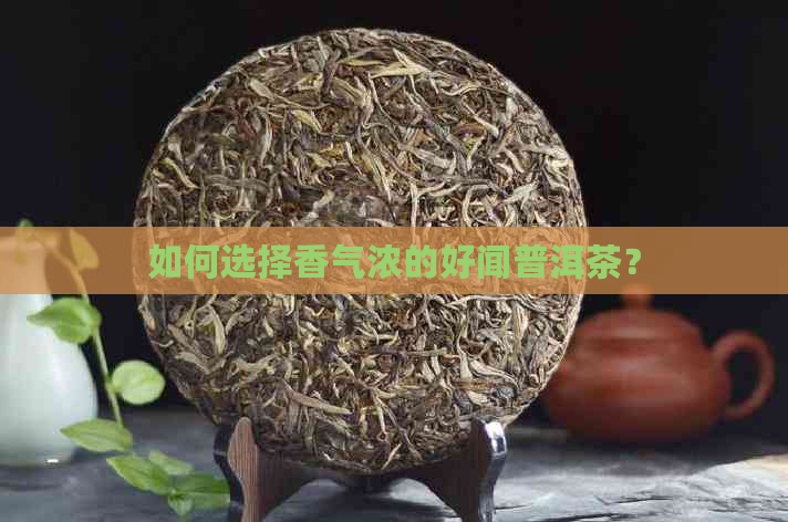 如何选择香气浓的好闻普洱茶？