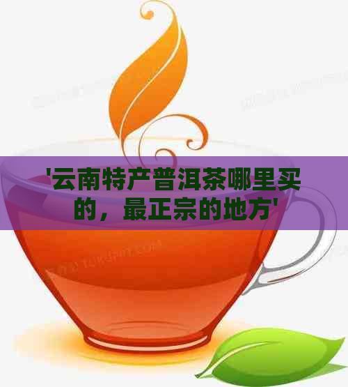 '云南特产普洱茶哪里买的，最正宗的地方'