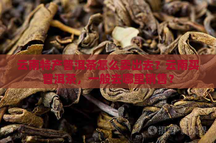 云南特产普洱茶怎么卖出去？云南买普洱茶，一般去哪里销售？