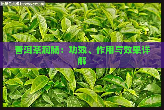 普洱茶润肠：功效、作用与效果详解