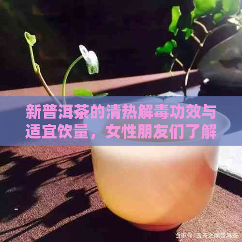 新普洱茶的清热解功效与适宜饮量，女性朋友们了解多少？