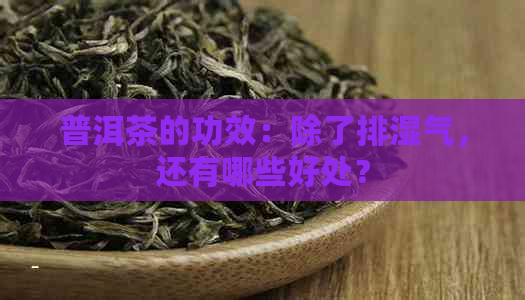 普洱茶的功效：除了排湿气，还有哪些好处？