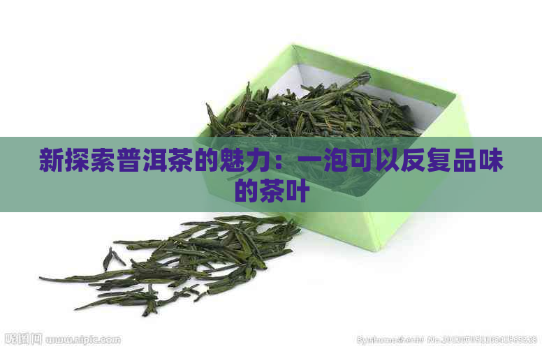 新探索普洱茶的魅力：一泡可以反复品味的茶叶