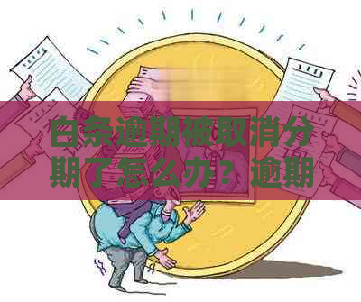 白条逾期被取消分期了怎么办？逾期10天取消分期处理方式