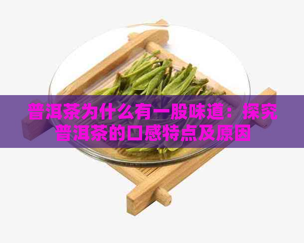 普洱茶为什么有一股味道：探究普洱茶的口感特点及原因