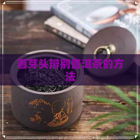 看芽头辨别普洱茶的方法