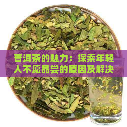 普洱茶的魅力：探索年轻人不愿品尝的原因及解决之道