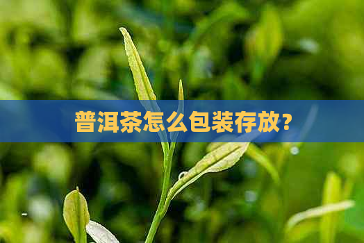 普洱茶怎么包装存放？