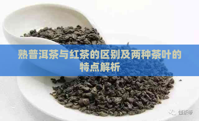 熟普洱茶与红茶的区别及两种茶叶的特点解析