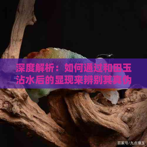 深度解析：如何通过和田玉沾水后的显现来辨别其真伪