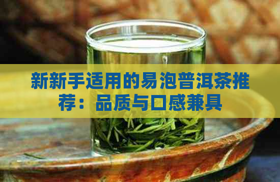 新新手适用的易泡普洱茶推荐：品质与口感兼具