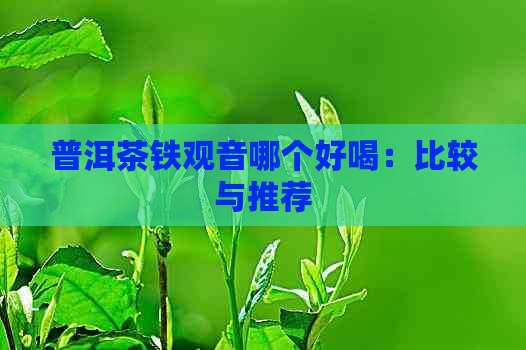 普洱茶铁观音哪个好喝：比较与推荐