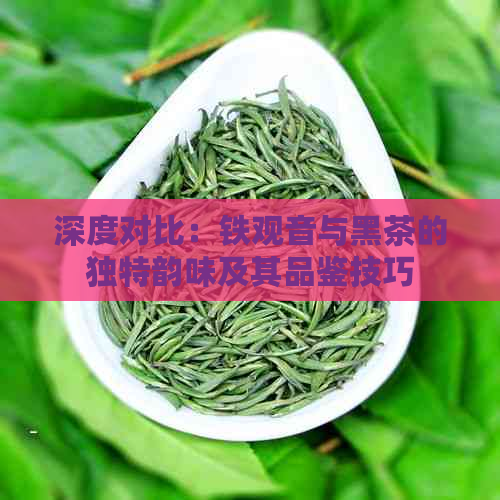 深度对比：铁观音与黑茶的独特韵味及其品鉴技巧