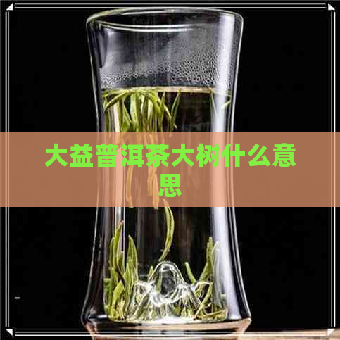 大益普洱茶大树什么意思