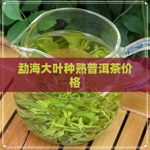 勐海大叶种熟普洱茶价格