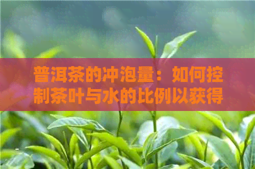 普洱茶的冲泡量：如何控制茶叶与水的比例以获得口感