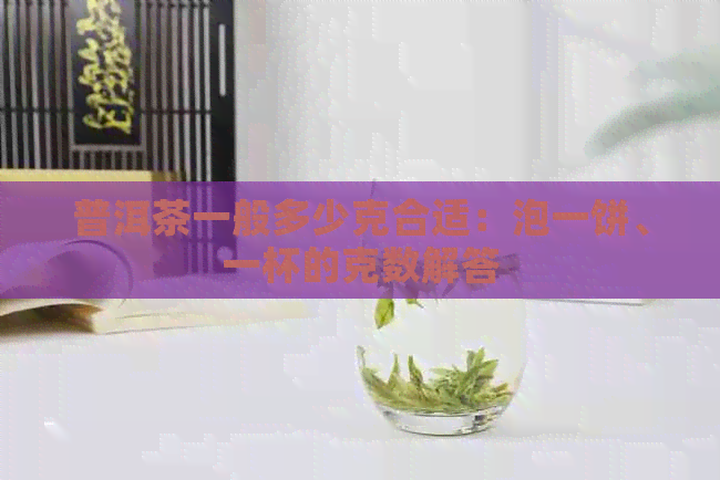 普洱茶一般多少克合适：泡一饼、一杯的克数解答