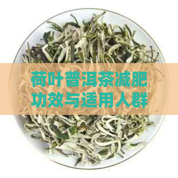 荷叶普洱茶减肥功效与适用人群：如何科学饮用以达到效果？