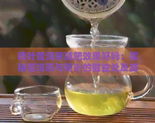 荷叶普洱茶减肥效果好吗：揭秘普洱茶与荷叶的健益处及减肥效果