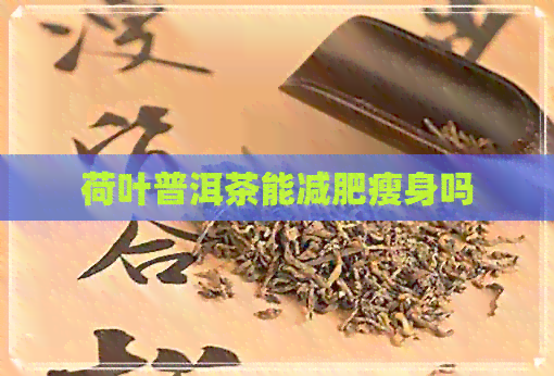 荷叶普洱茶能减肥瘦身吗