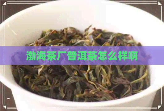 渤海茶厂普洱茶怎么样啊