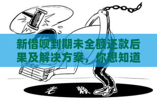 新借呗到期未全额还款后果及解决方案，你想知道的一切在这里！