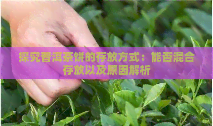 探究普洱茶饼的存放方式：能否混合存放以及原因解析